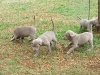 DSCF3204_800